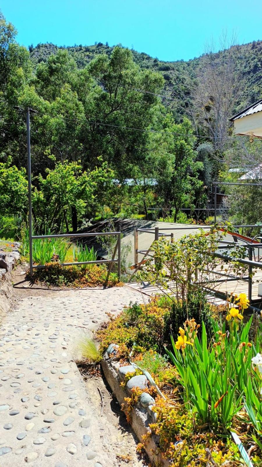Hostal Los Penones Сан-Альфонсо Экстерьер фото